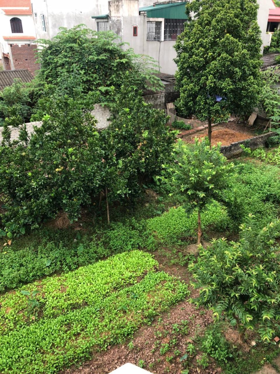 Tam Coc - Thanh Homestay Ninh Binh Exterior foto